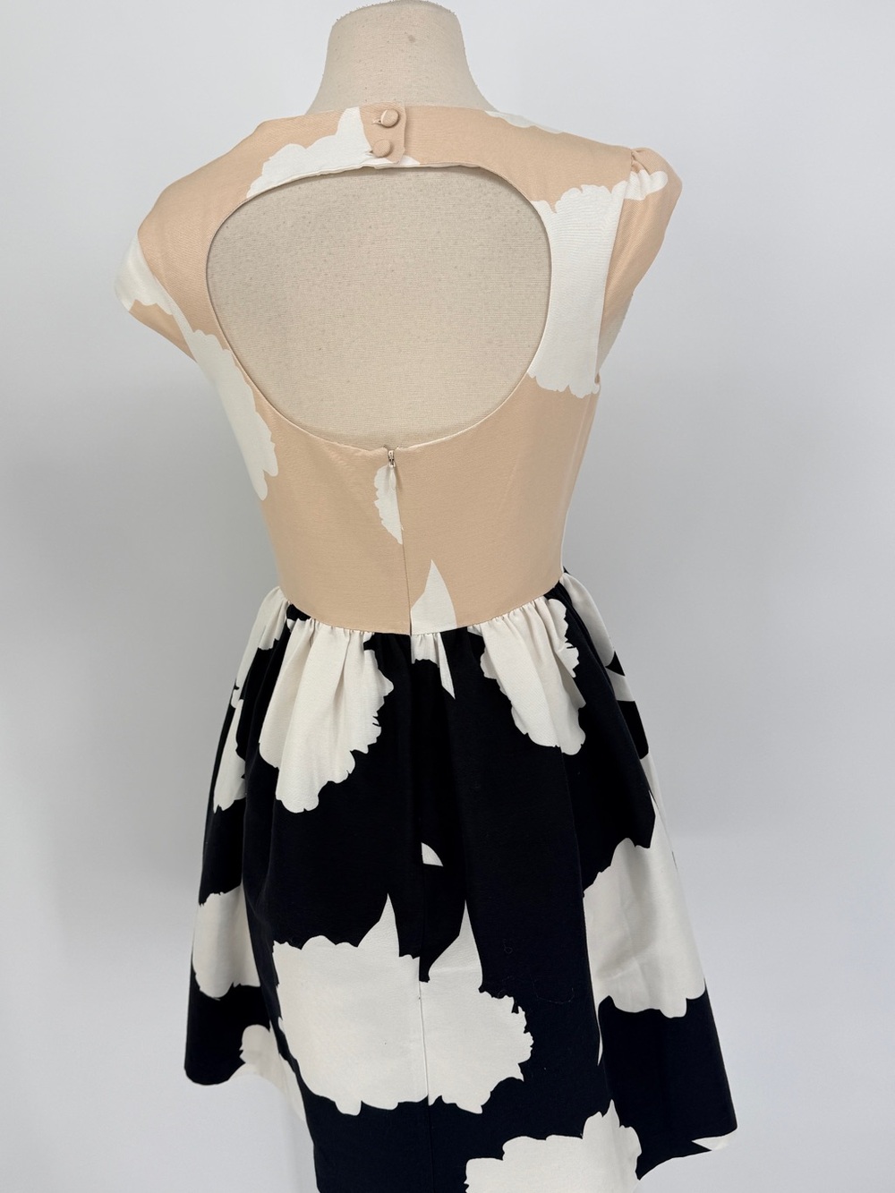 Beige and Black Floral Fit-and-Flare Dress - Picture 5 of 7